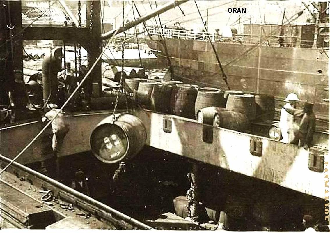 PO e- 482.jpg